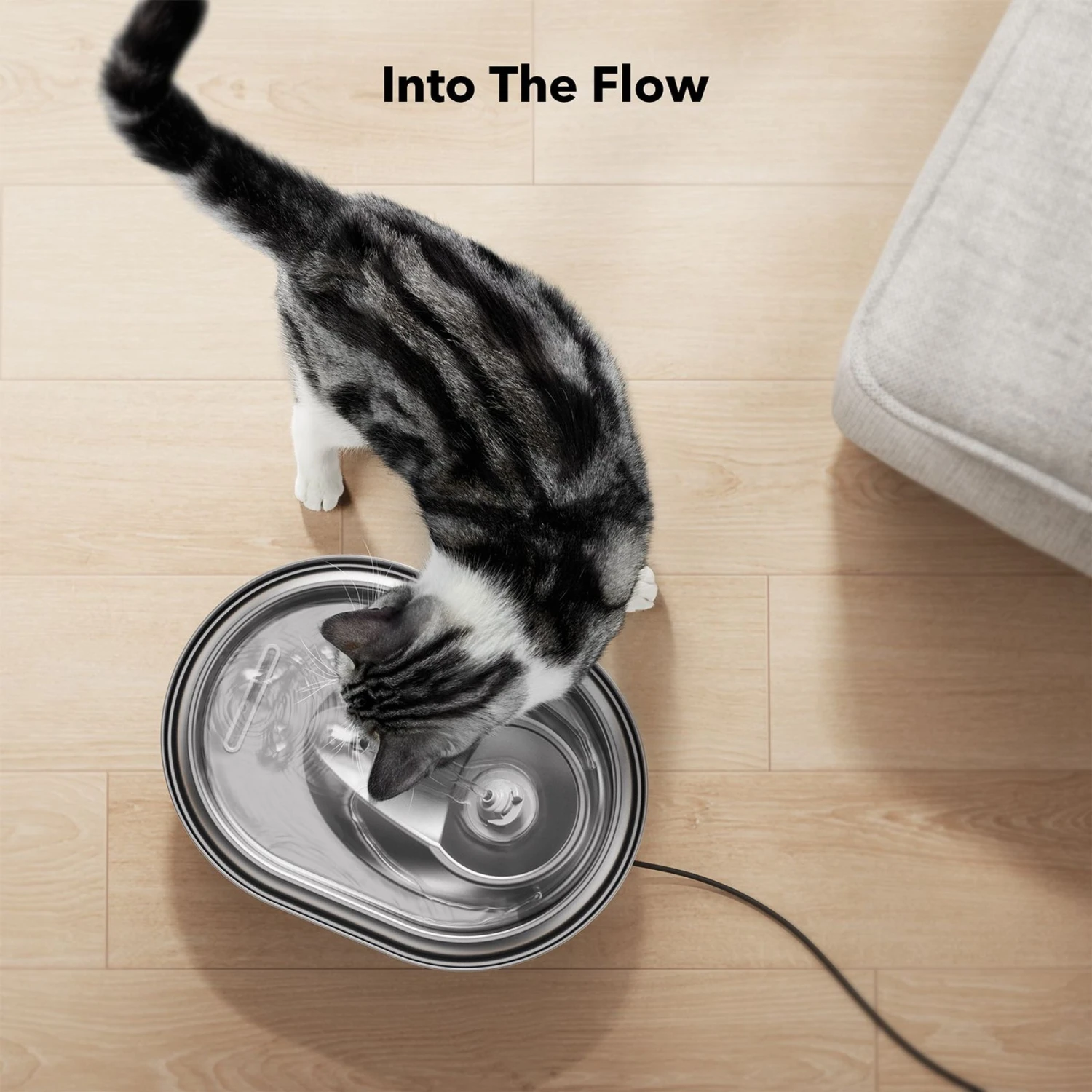 Petlibro Stainless Steel Dog & Cat Water Fountain, 2-L - Image 9