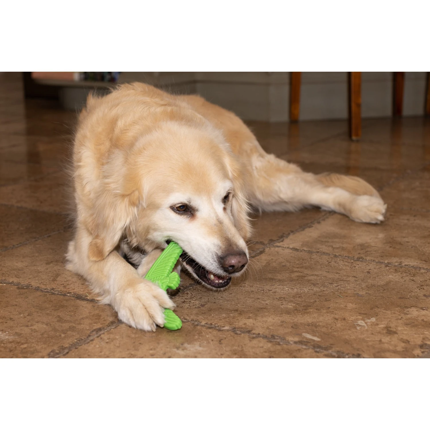 Hugglehounds LeLe Tuffut-Flex Flyer Dog Toy, Green - Image 8