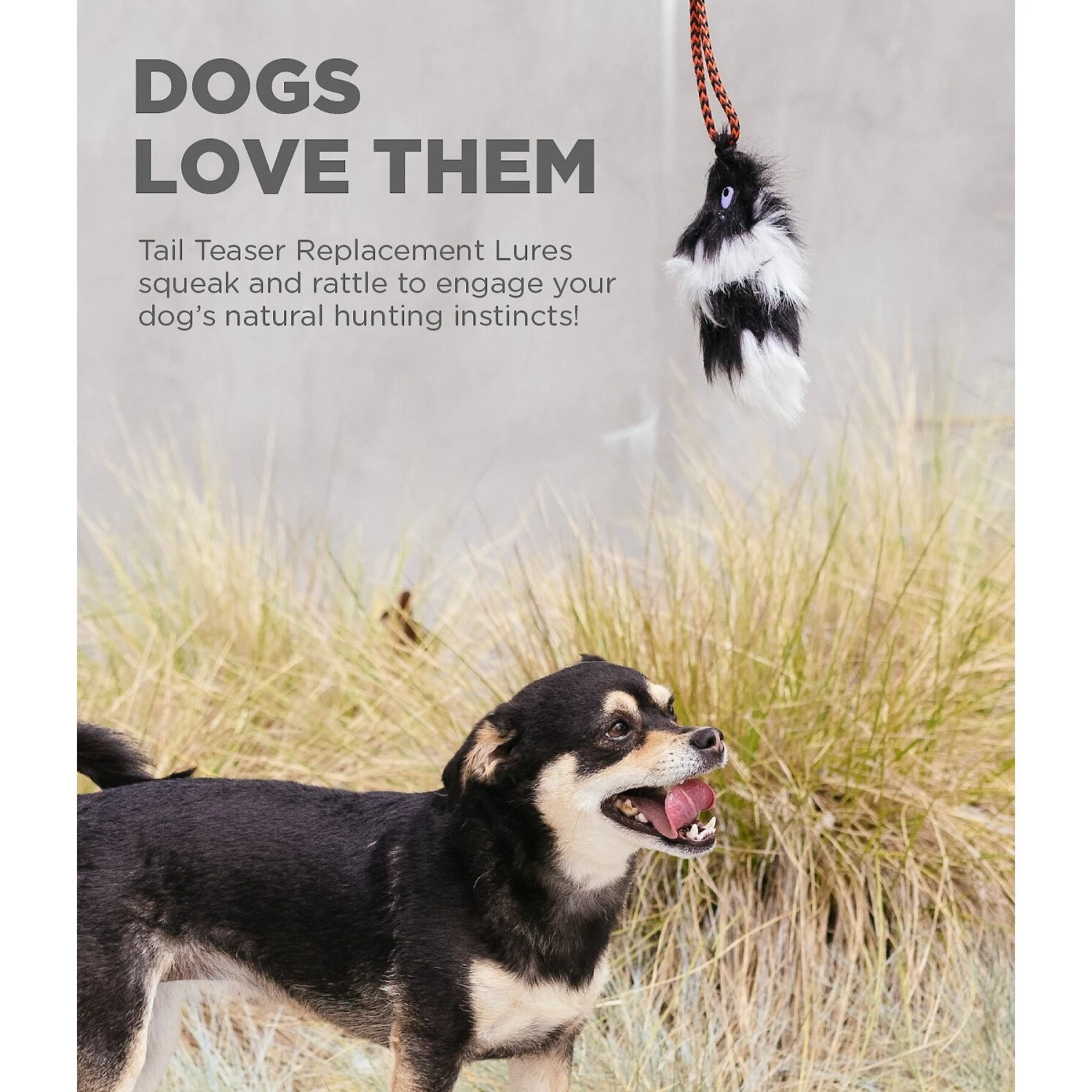 Outward Hound Beaver Tail Teaser Wand Dog Toy Replacement Lure - Image 3