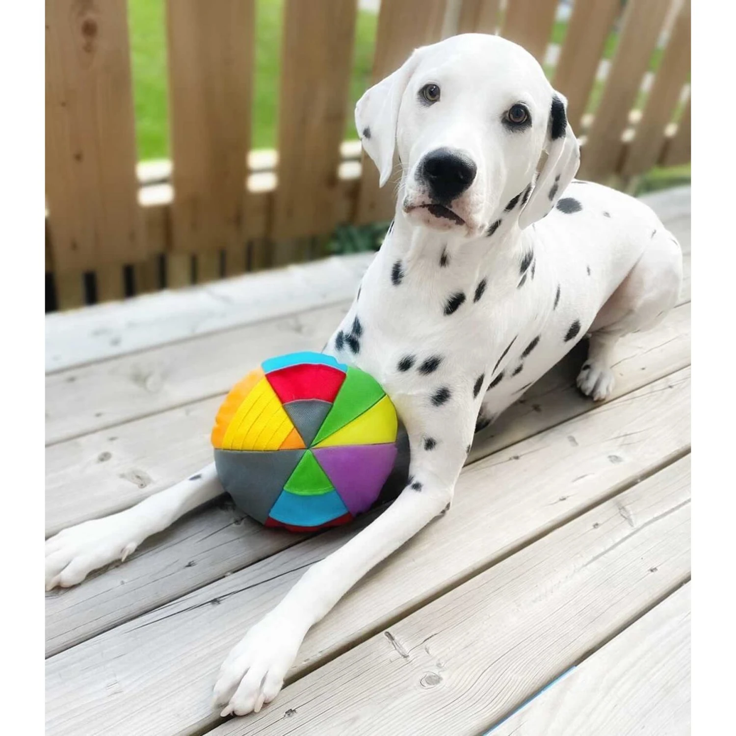 FouFIT Hide 'n Seek Disc Dog Toys, Multicolor - Image 4