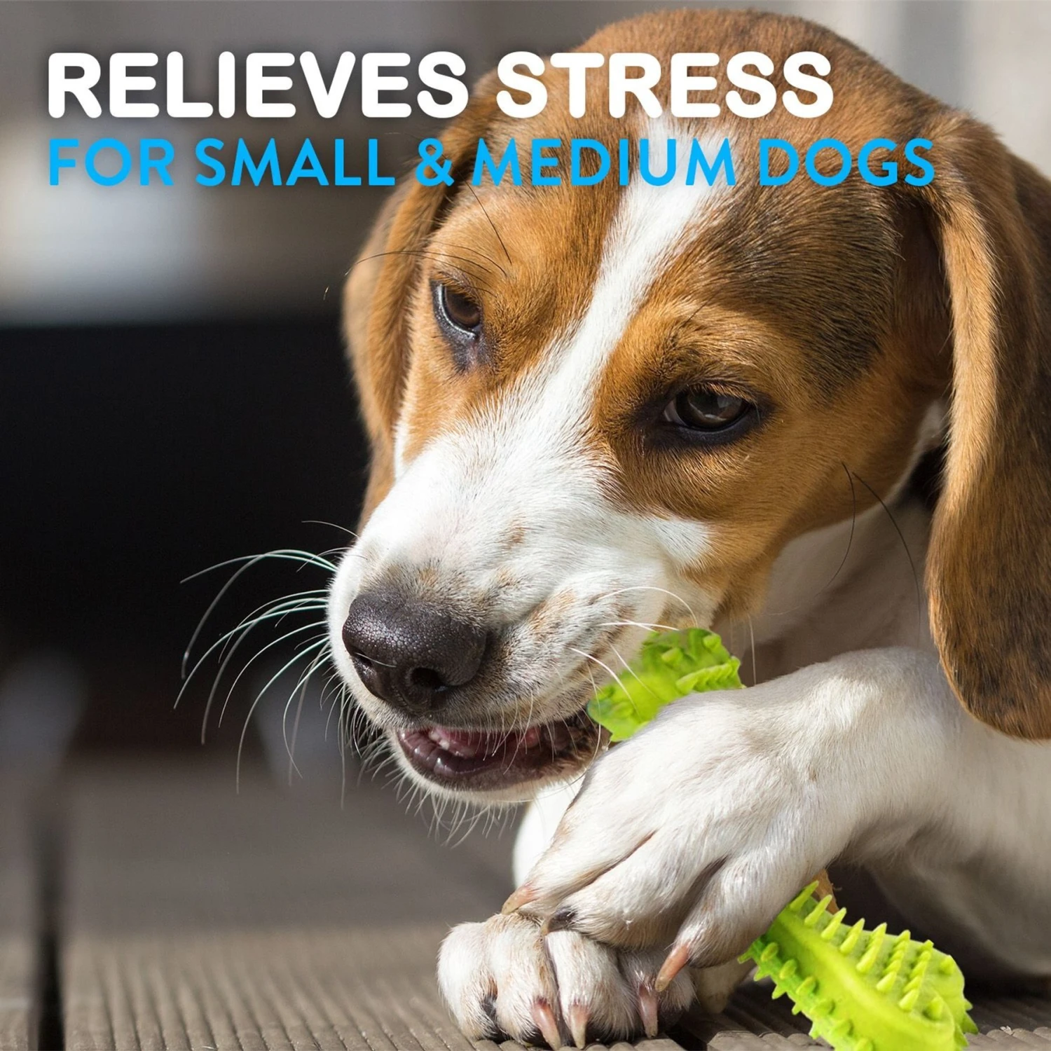 Pacific Pups Rescue Rope & Chew Dog Toy Variety Pack, 18 Count - Image 8