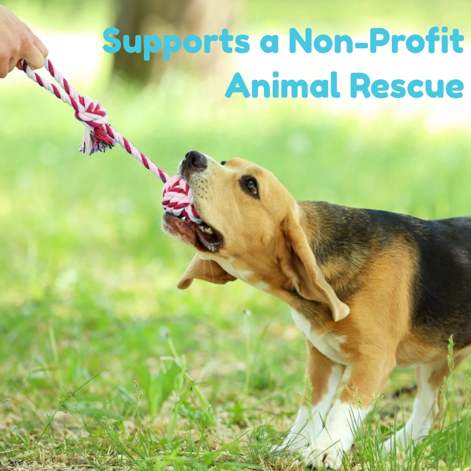 Pacific Pups Rescue Rope & Chew Dog Toy Variety Pack, 18 Count - Image 9