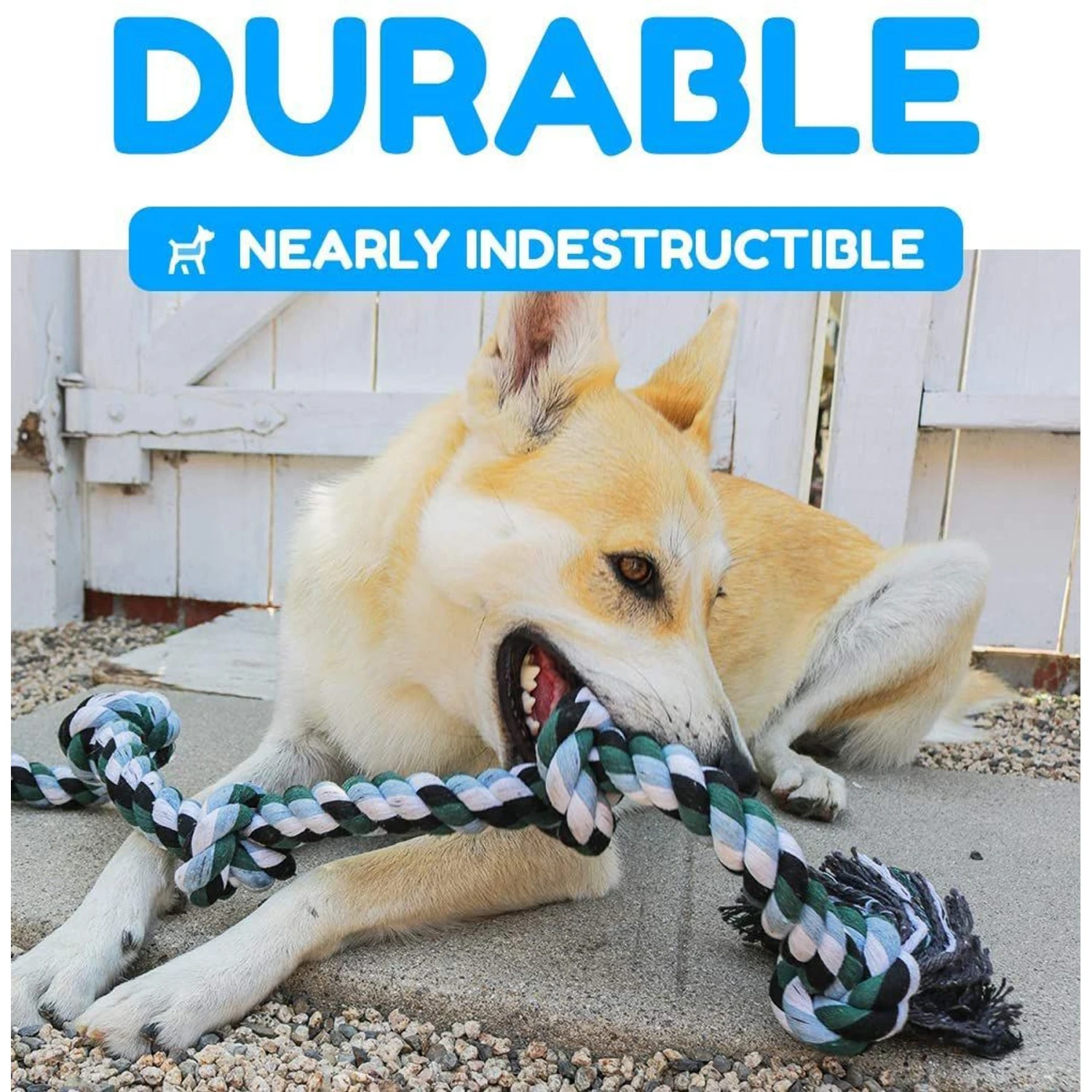 Pacific Pups Rescue Knotted Rope Tug Dog Toy, Blue, X-Large - Image 3