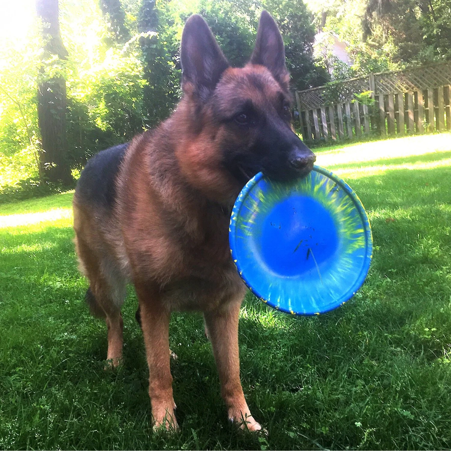 Ruff Dawg K9 Flyer Disc Dog Toy, Color Varies - Image 3