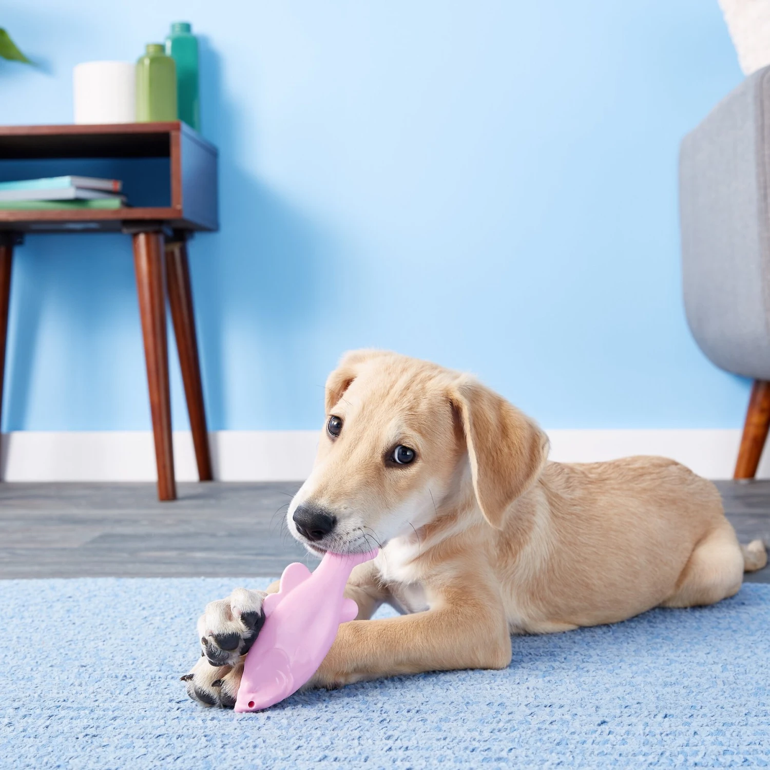 Ruff Dawg FlyingFish Dog Fetch Toy, Color Varies - Image 6