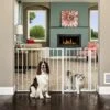 Carlson Pet Products Maxi Walk-Thru Dog Gate With Small Pet Door