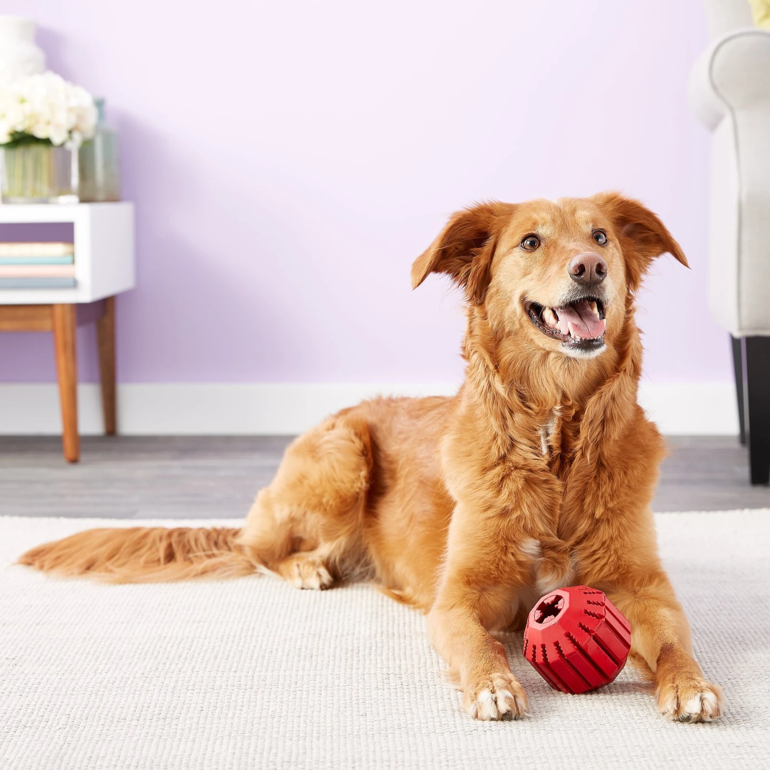 KONG Stuff A Ball Dog Toy - Image 4