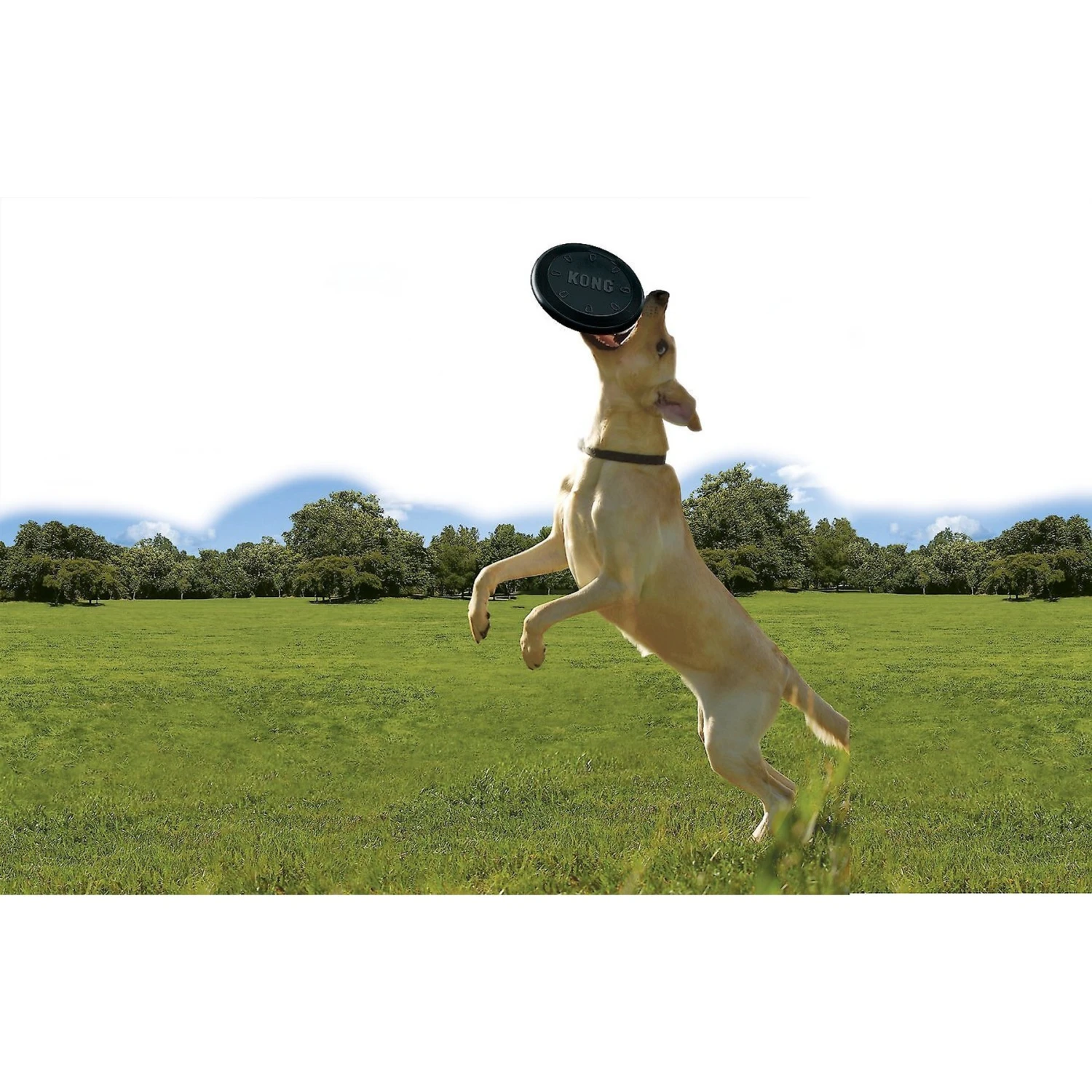 KONG Extreme Flyer Dog Toy - Image 4