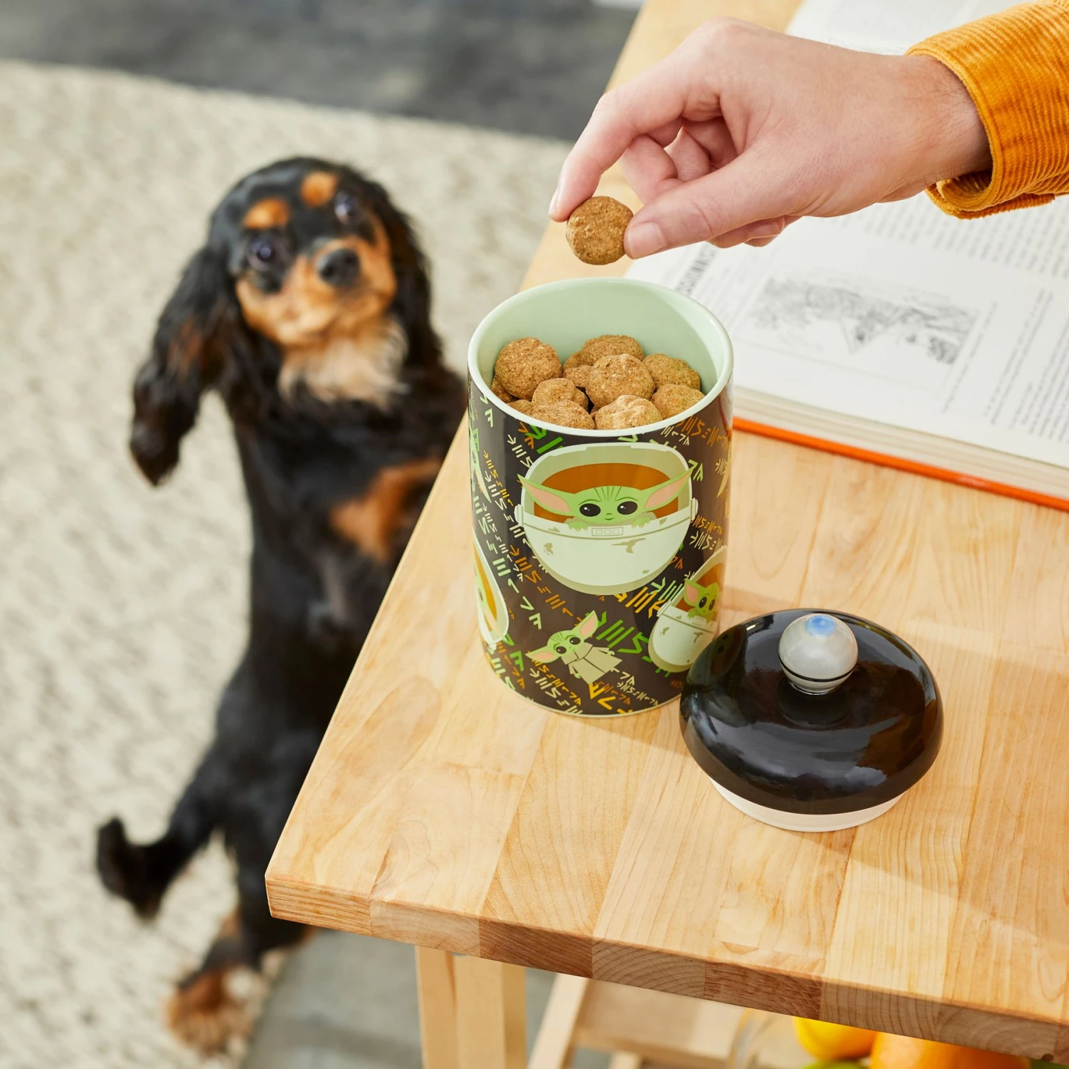 STAR WARS THE MANDALORIAN THE CHILD Aurebesh Ceramic Treat Jar & STAR WARS THE MANDALORIAN GROGU AUREBESH Non-Skid Stainless Steel With Melamine Stand Dog & Cat Bowl - Image 4