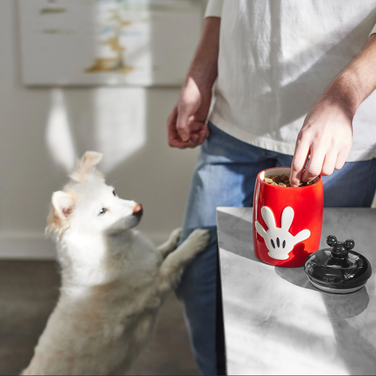 Disney Table Scraps Mickey Mouse Hot Diggity Dog Recipe Upcycled Jerky Dog Treats, 5-oz Bag & Disney Mickey Mouse Ceramic Dog & Cat Treat Jar - Image 7