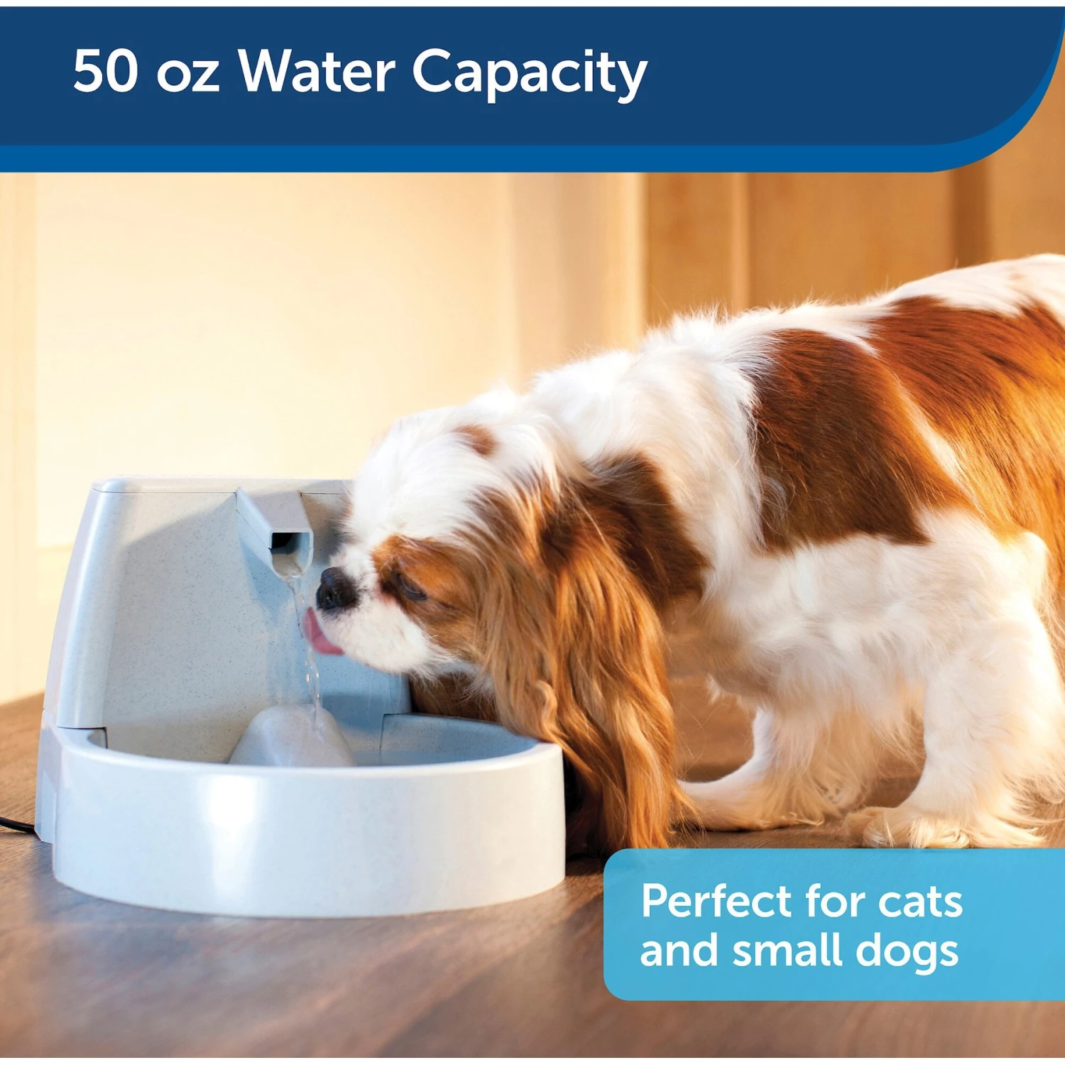 PetSafe Drinkwell Original Plastic Dog & Cat Fountain - Image 4