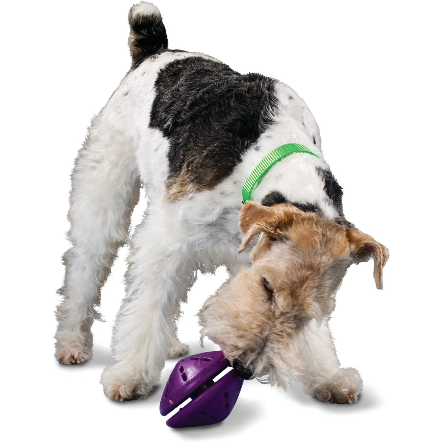PetSafe Busy Buddy Twist 'n Treat Treat Dispenser Dog Toy - Image 3