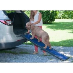 Pet Gear Full Length Bi-Fold Dog Car Ramp