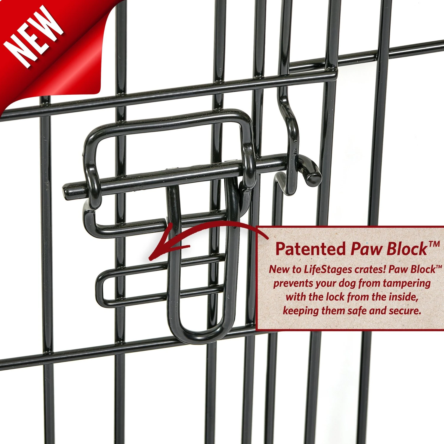 MidWest LifeStages Double Door Collapsible Wire Dog Crate - Image 5