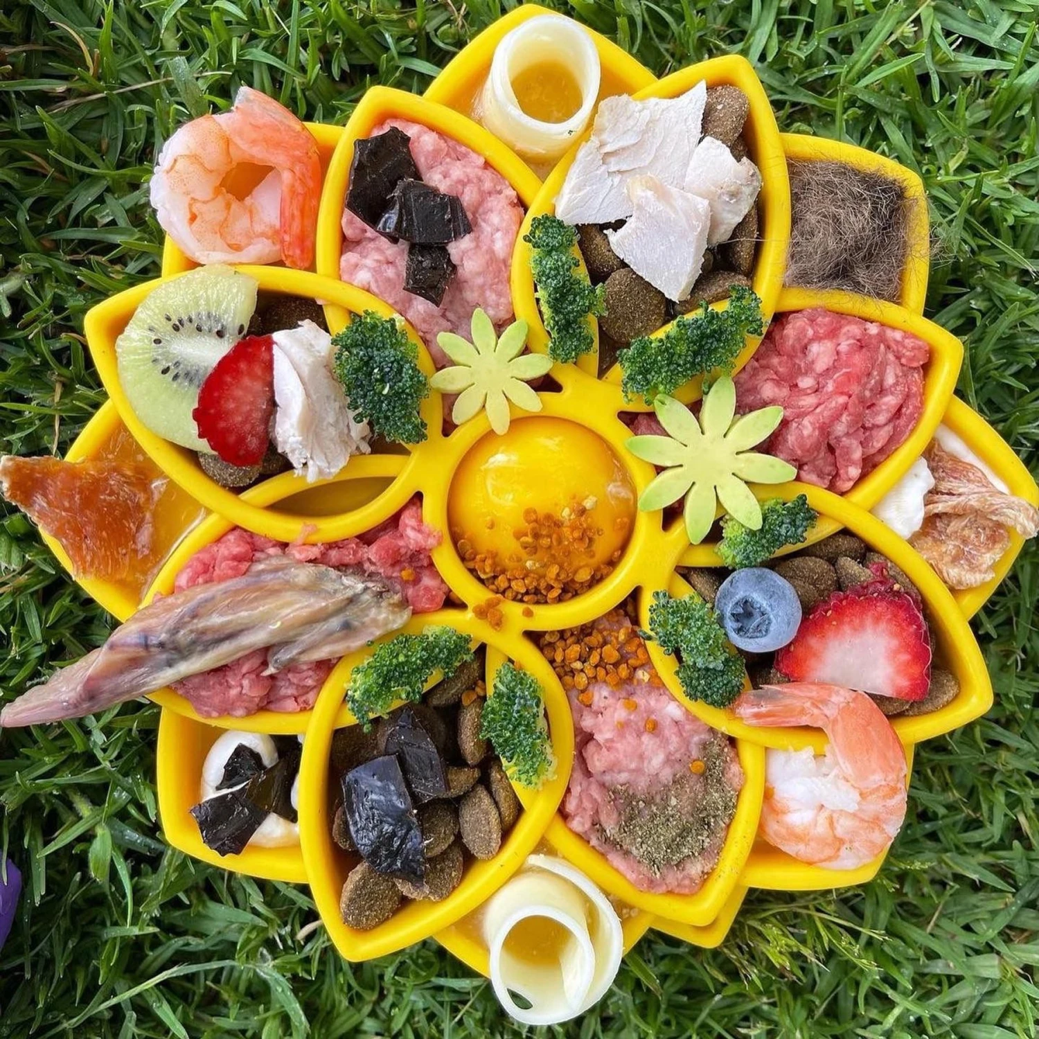 SodaPup Mandala Shallow Slow Dog Feeder, Large - Image 3