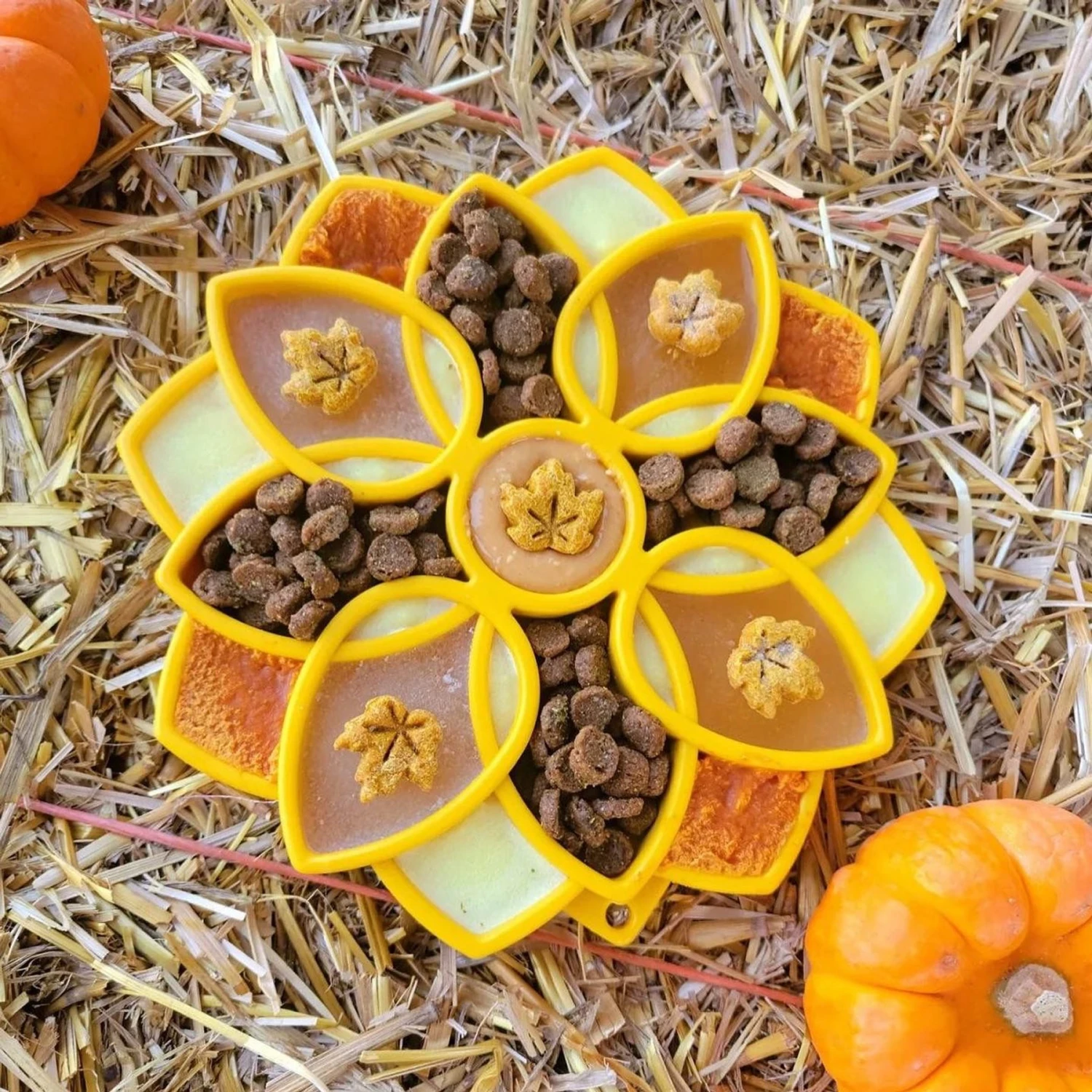 SodaPup Mandala Shallow Slow Dog Feeder, Large - Image 5