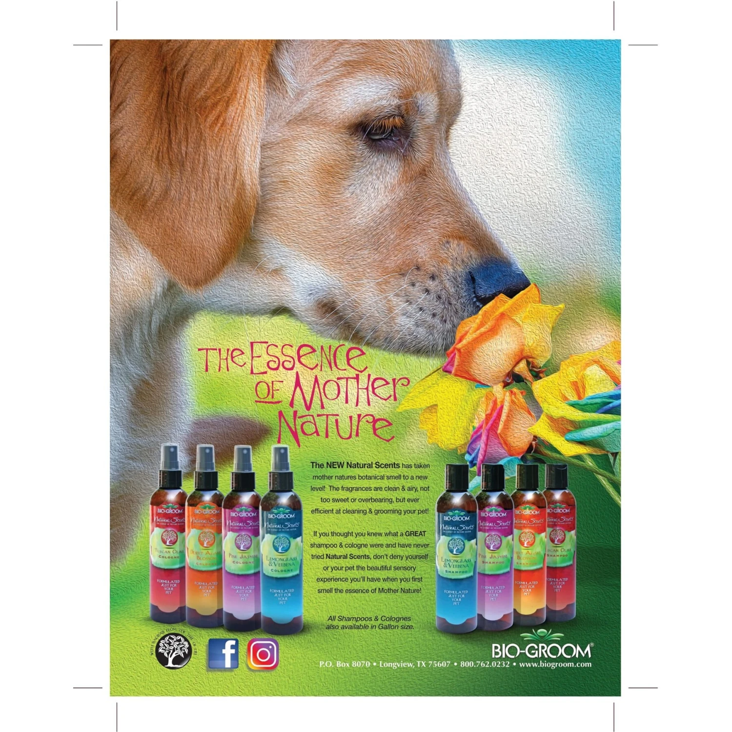 Bio-Groom Natural Scents Tuscan Olive Cologne Dog Spray - Image 4