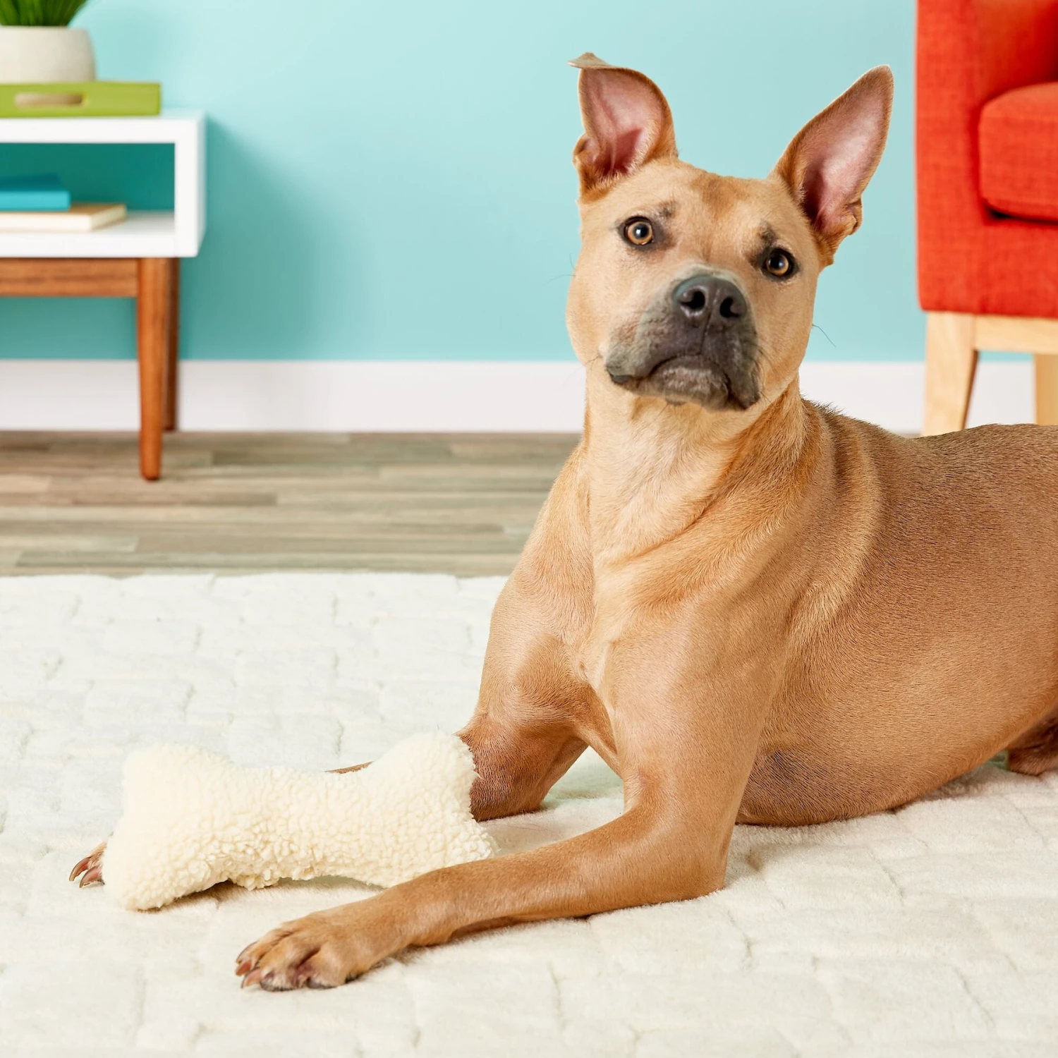 Ethical Pet Fleece Bone Squeaky Tough Plush Dog Toy - Image 2