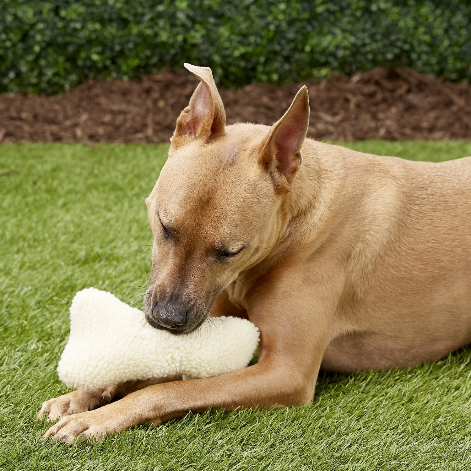 Ethical Pet Fleece Bone Squeaky Tough Plush Dog Toy - Image 3
