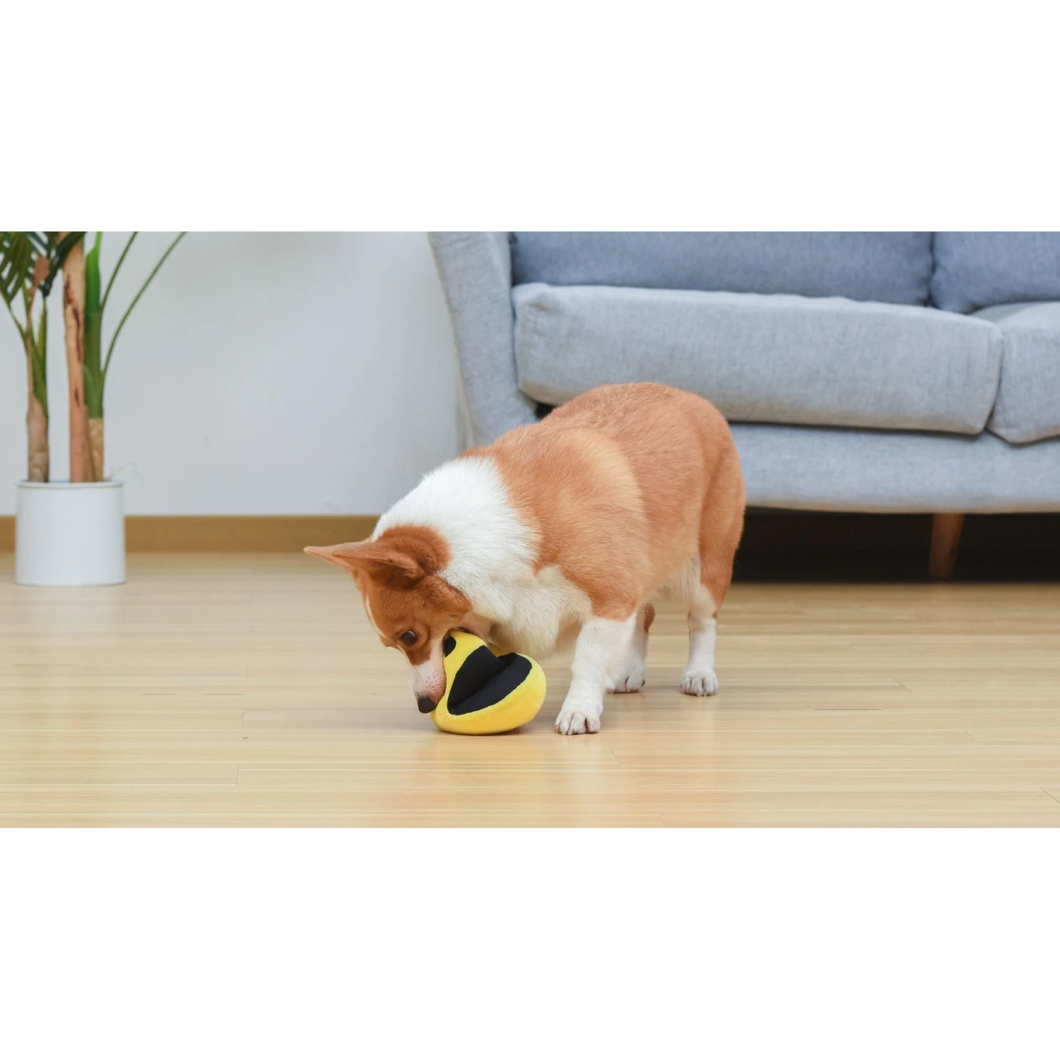 Fetch For Pets Pac-Man Pac-Man Figure Plush Squeaky Dog Toy - Image 5