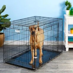 Precision Pet Products Provalu Double Door Collapsible Wire Dog Crate