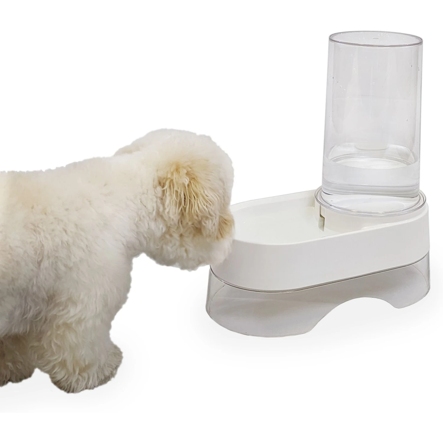 Richell Elevated Gravity Water Dispenser Dog & Cat Bowl - Image 4