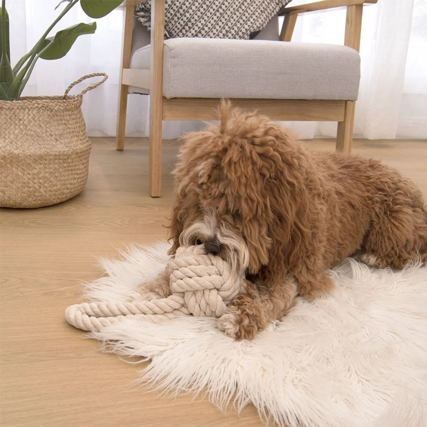 Louie Living Urban Toy Tug Rope Dog Toy, Cream - Image 2