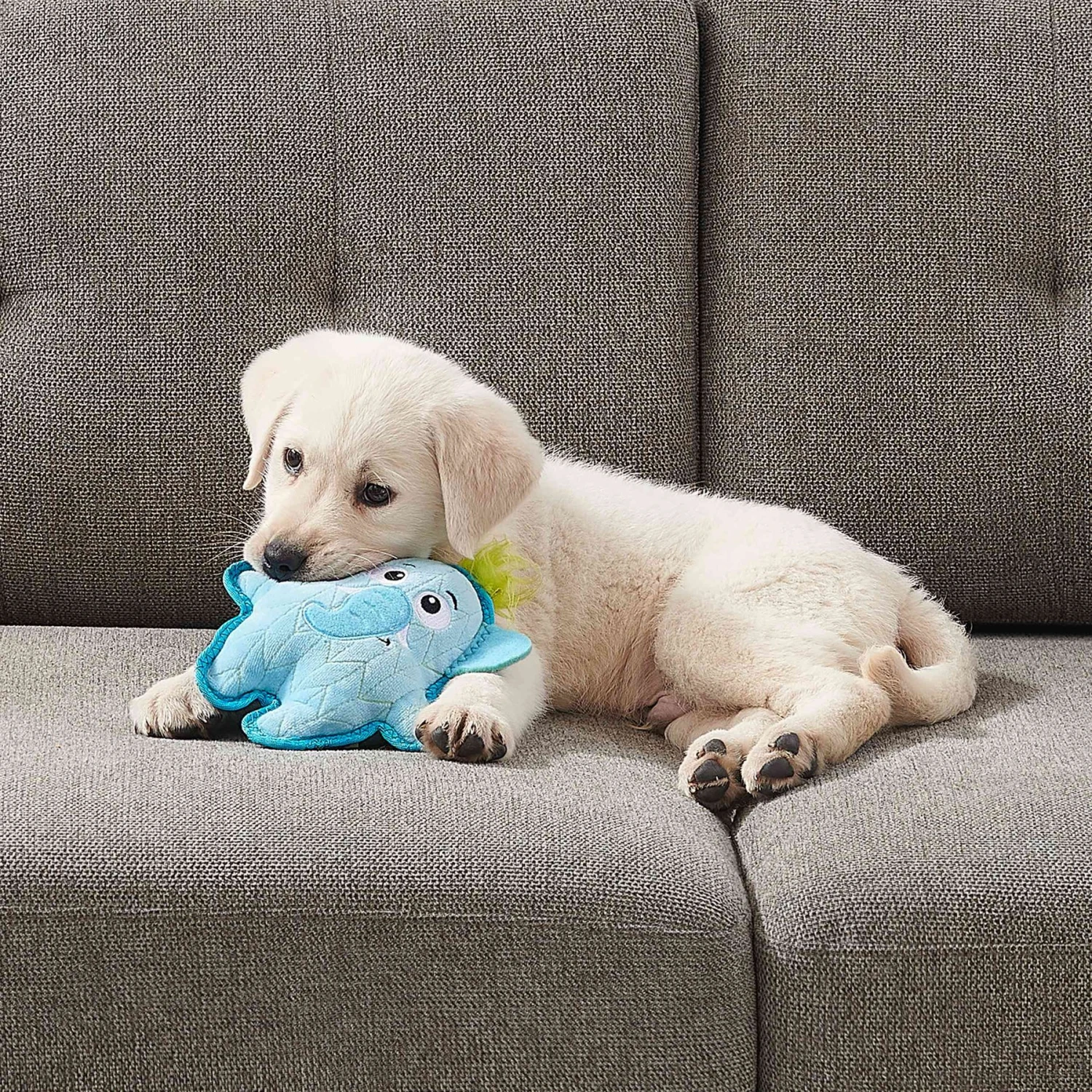 Outward Hound Xtreme Seamz Elephant Durable Squeaky Dog Toy, Blue, Medium - Image 6