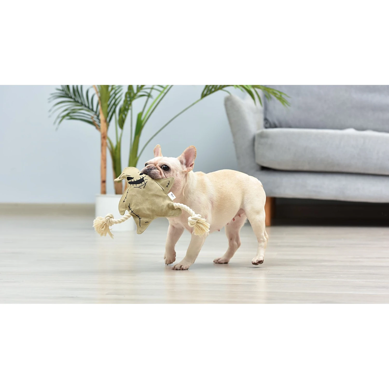 Fetch For Pets Nightmare Before Christmas Halloween Oogie Boogie Flattie Dog Toy, 9-in - Image 4