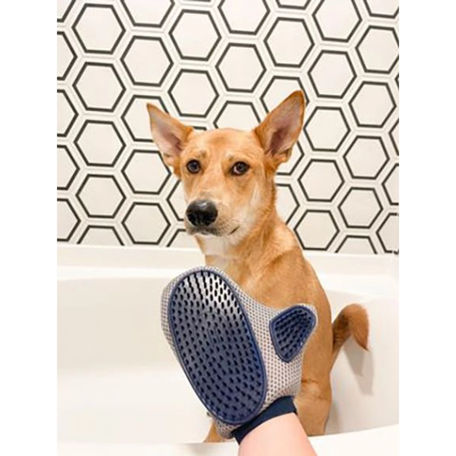 Four Paws Magic Coat Love Glove Grooming Mitt For Dogs - Image 2