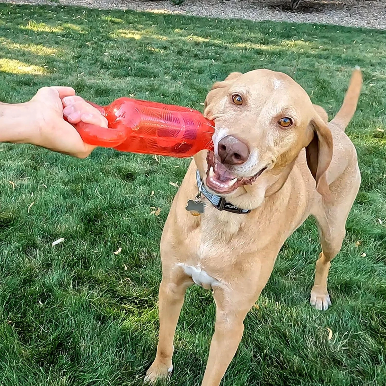 KONG Jumbler Tug Dog Toy - Image 4