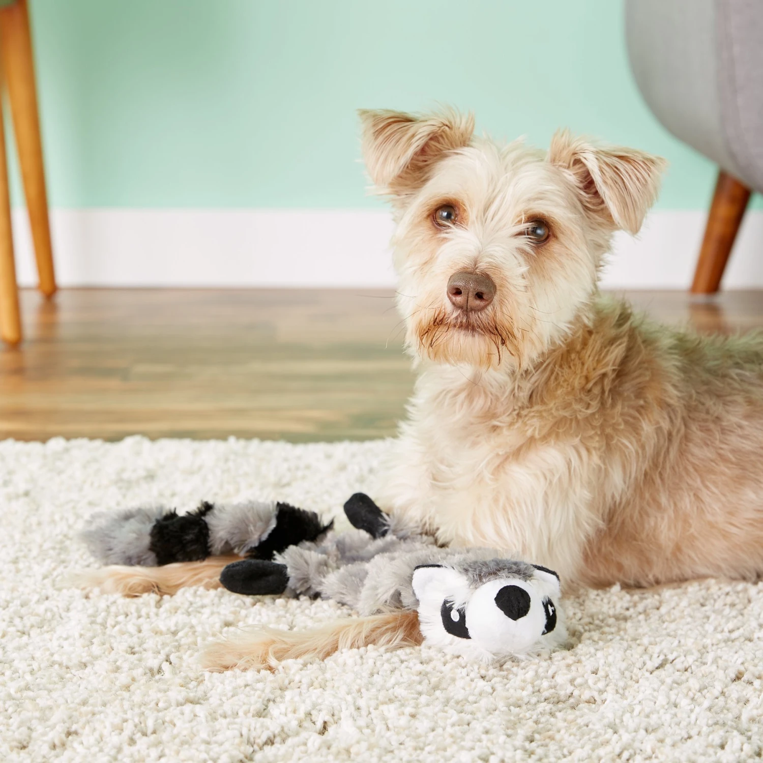 Hyper Pet Raccoon Critter Skinz Dog Toy - Image 2