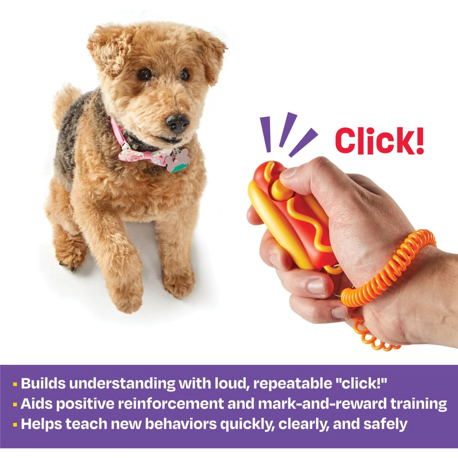 Brightkins Smarty Pooch Hot Dog Dog Training Clicker - Image 2