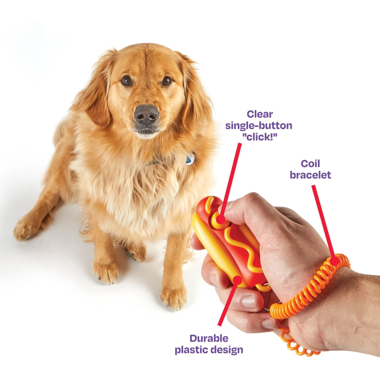 Brightkins Smarty Pooch Hot Dog Dog Training Clicker - Image 4