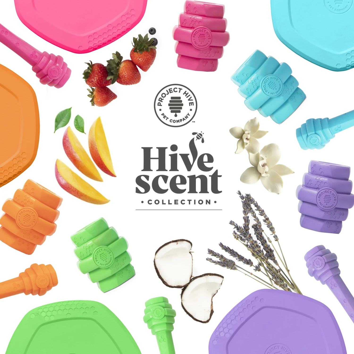 Project Hive Pet Company Hive Sweet Mango Scented Disc & Lick Mat Dog Toy, Orange - Image 5