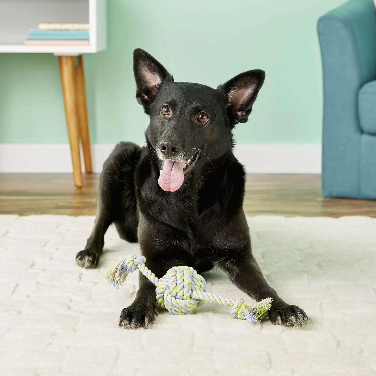 Mammoth Monkey Fist Ball & Rope Ends Dog Toy - Image 2