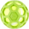 JW Pet ProTEN Hol-ee Roller Dog Toy