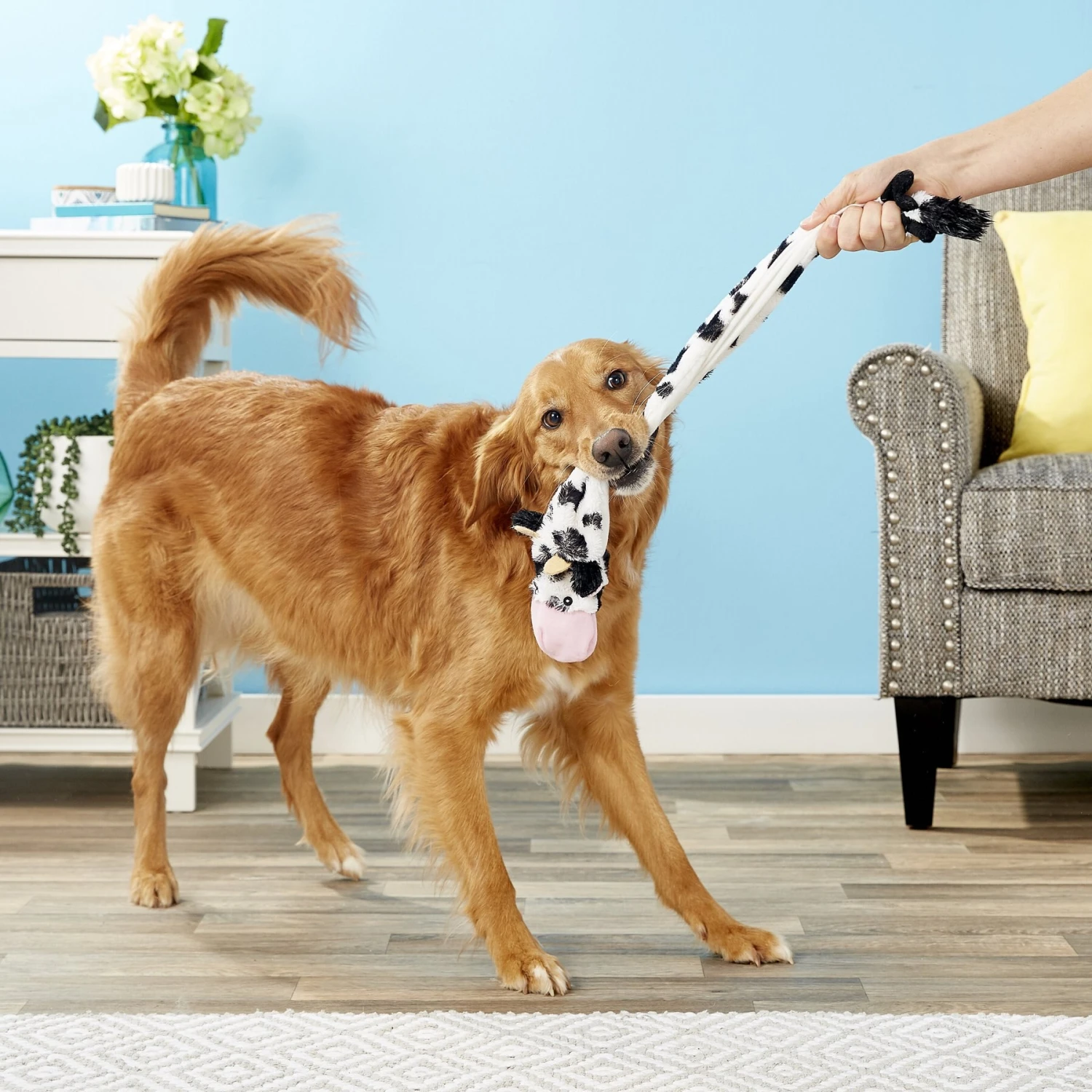 Ethical Pet Skinneeez Crinklers Cow Stuffing-Free Squeaky Plush Dog Toy - Image 2