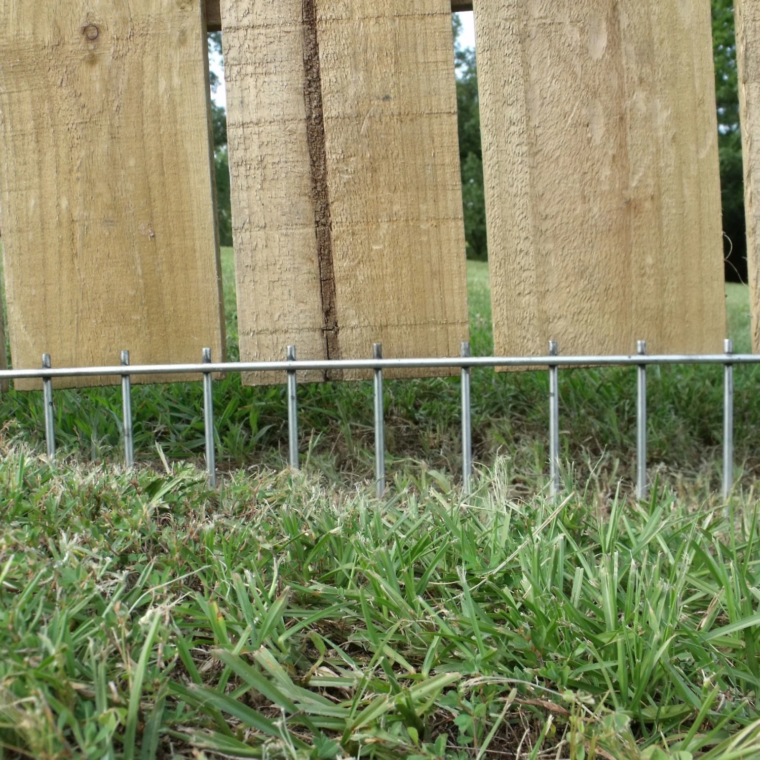 Dig Defence No-Dig Large Dog Barrier, 10-in - Image 3