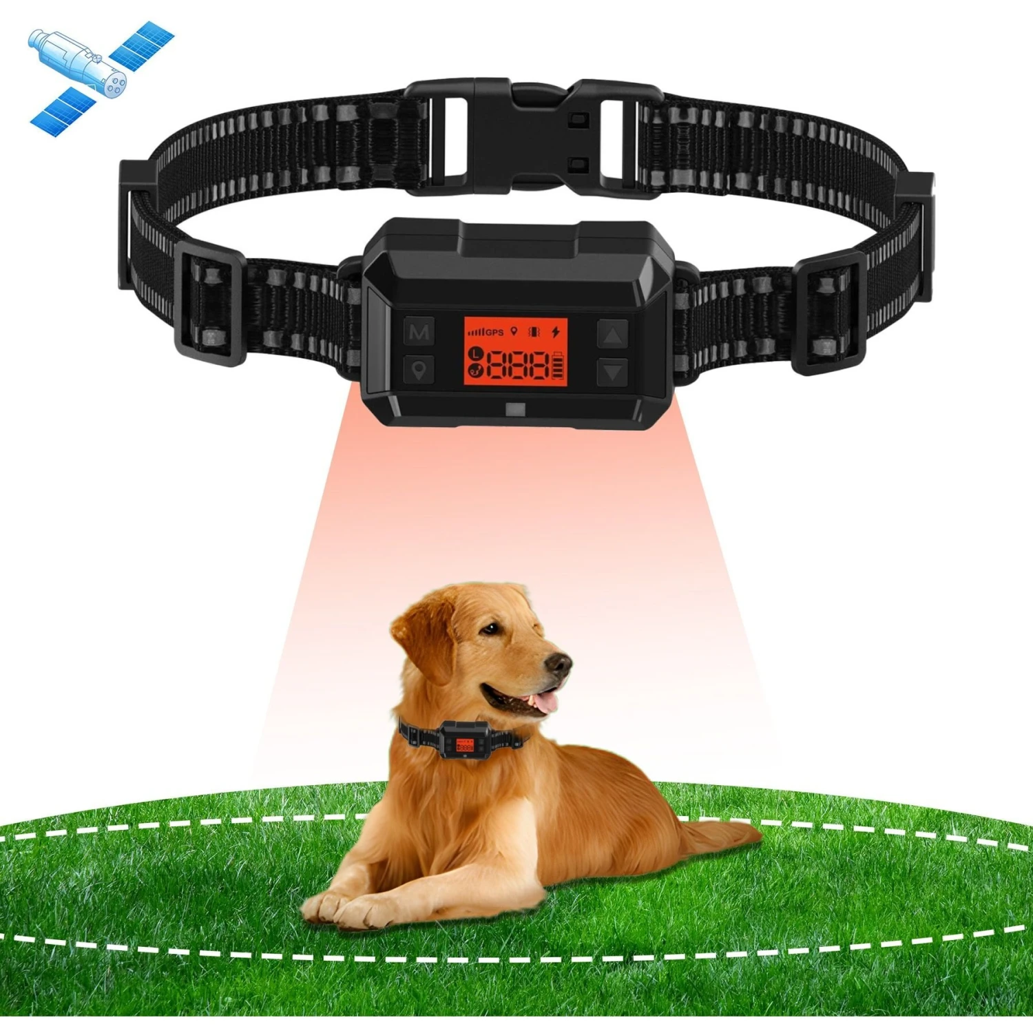 Petdiary GPS Wireless Fence System Dog Tracker, Black, Medium