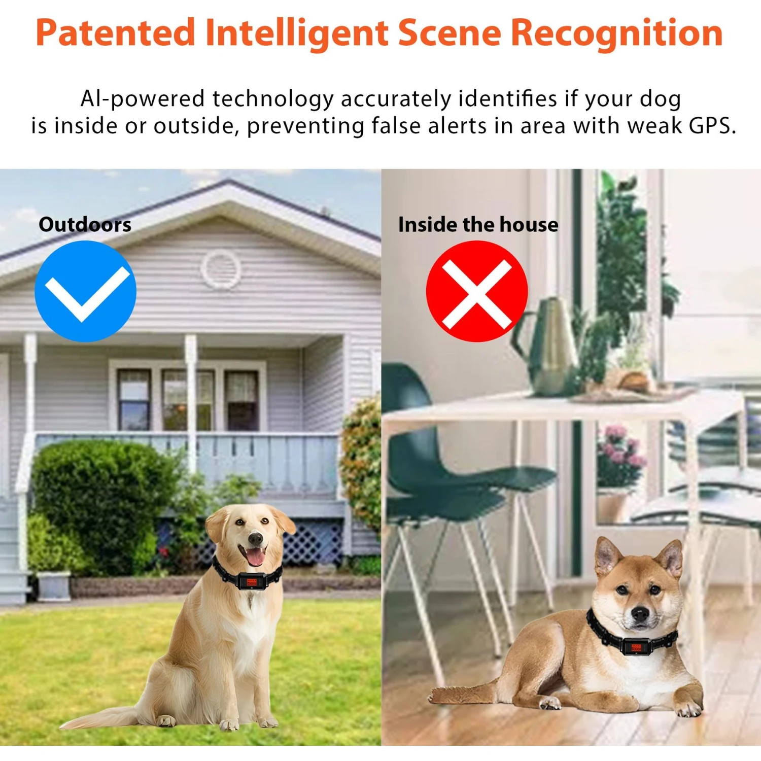 Petdiary GPS Wireless Fence System Dog Tracker, Black, Medium - Image 7