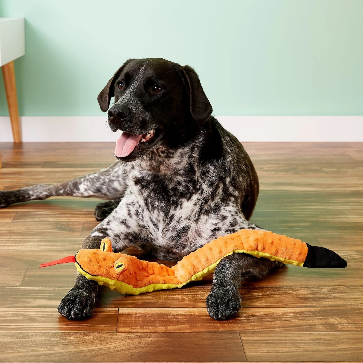 Ethical Pet Skinneeez Extreme Triple Squeaker Snake Stuffing-Free Squeaky Plush Dog Toy - Image 2