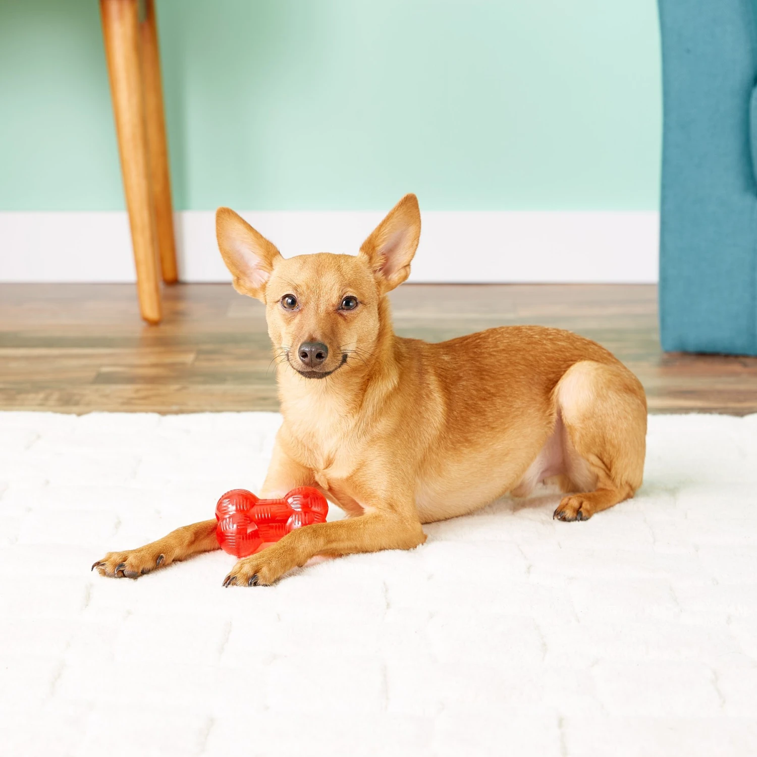 Ethical Pet Mini Play Strong Rubber Ball Tough Dog Chew Toy - Image 4