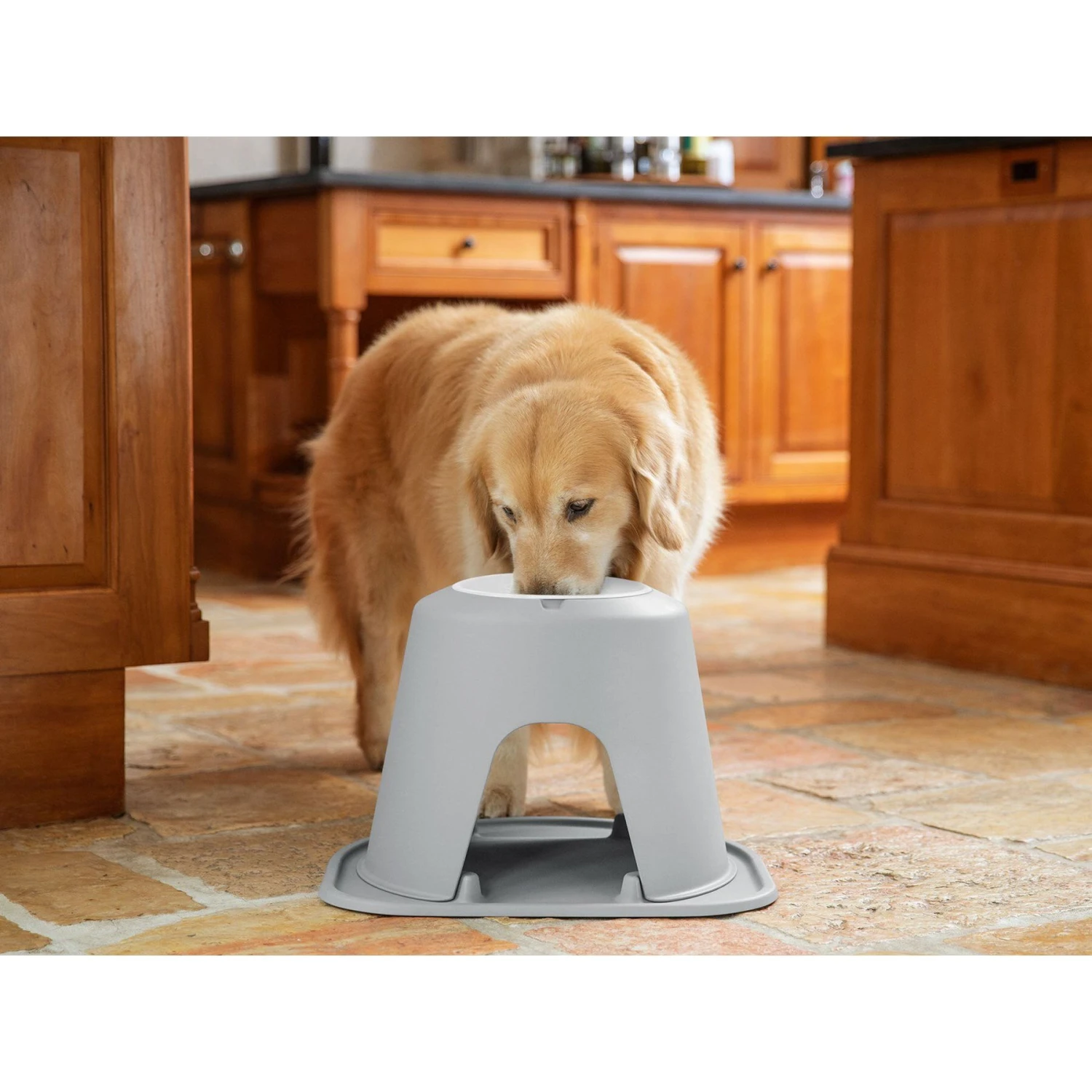 WeatherTech Single High Poly Bowl Cat & Dog Pet Feeding System - Image 3
