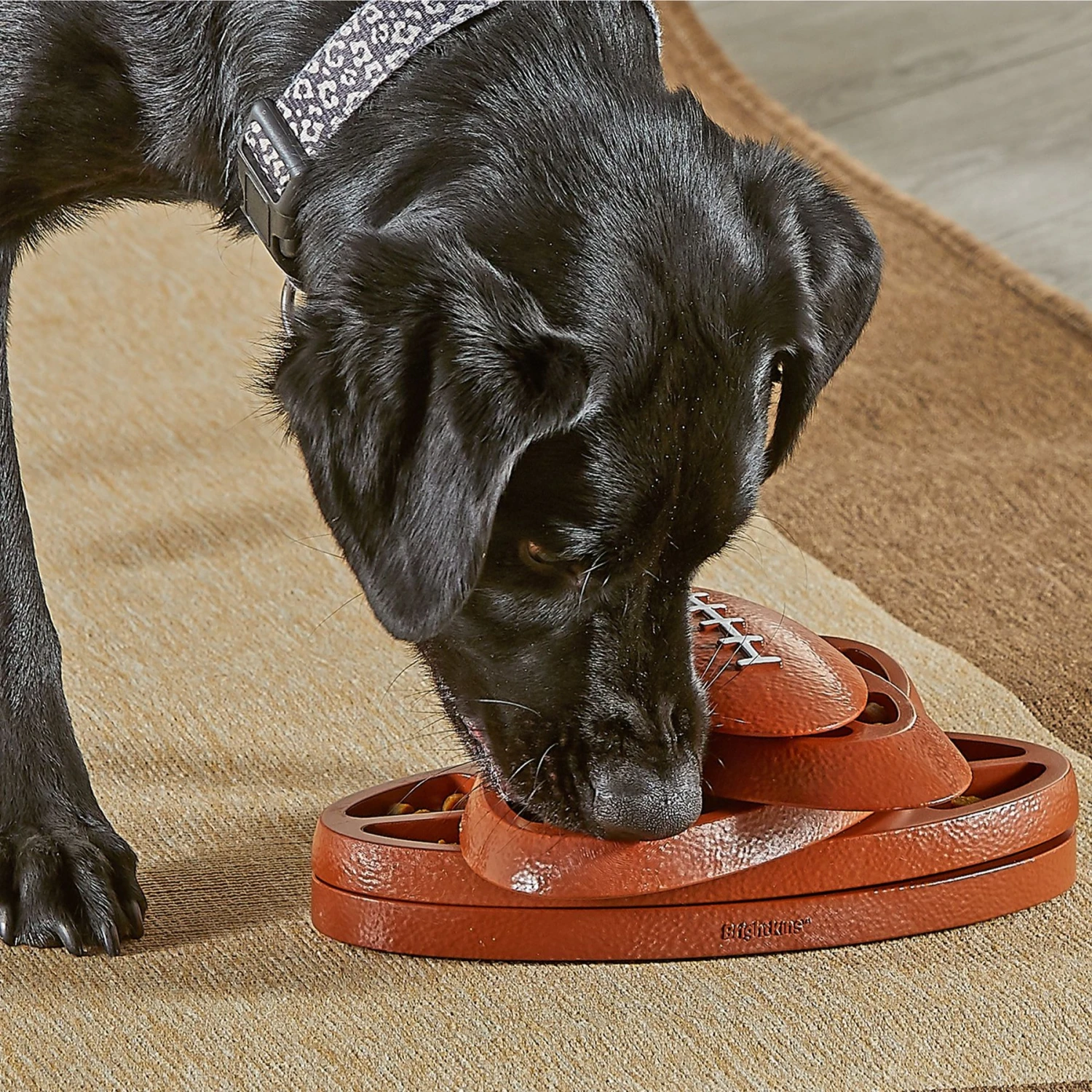 Brightkins Touchdown Time! Treat Puzzle Dog Toy - Image 4