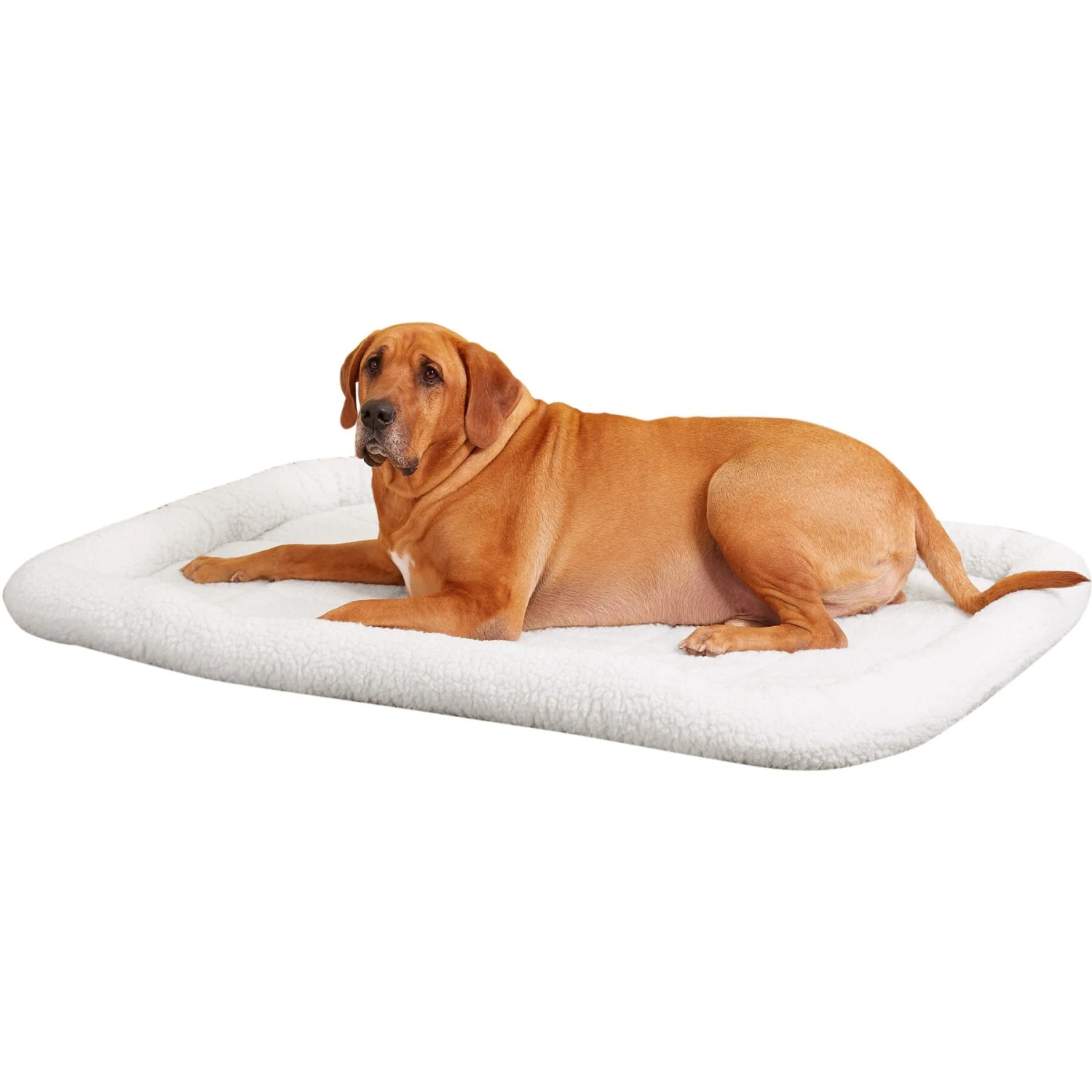 MidWest Solutions Series XX-Large Heavy Duty Double Door Wire Dog Crate, 54 Inch & MidWest Quiet Time Fleece Dog Crate Mat - Image 6